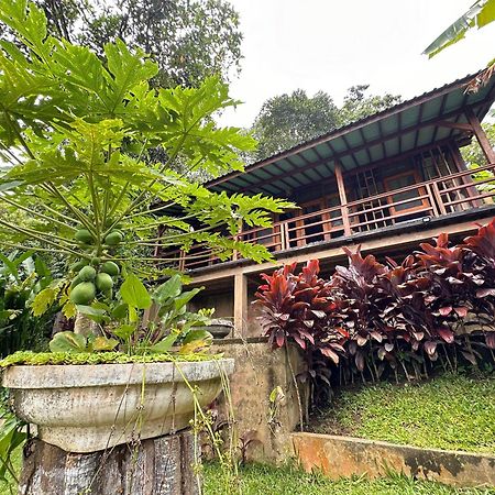 Sang Tirta Resort Penebel Extérieur photo