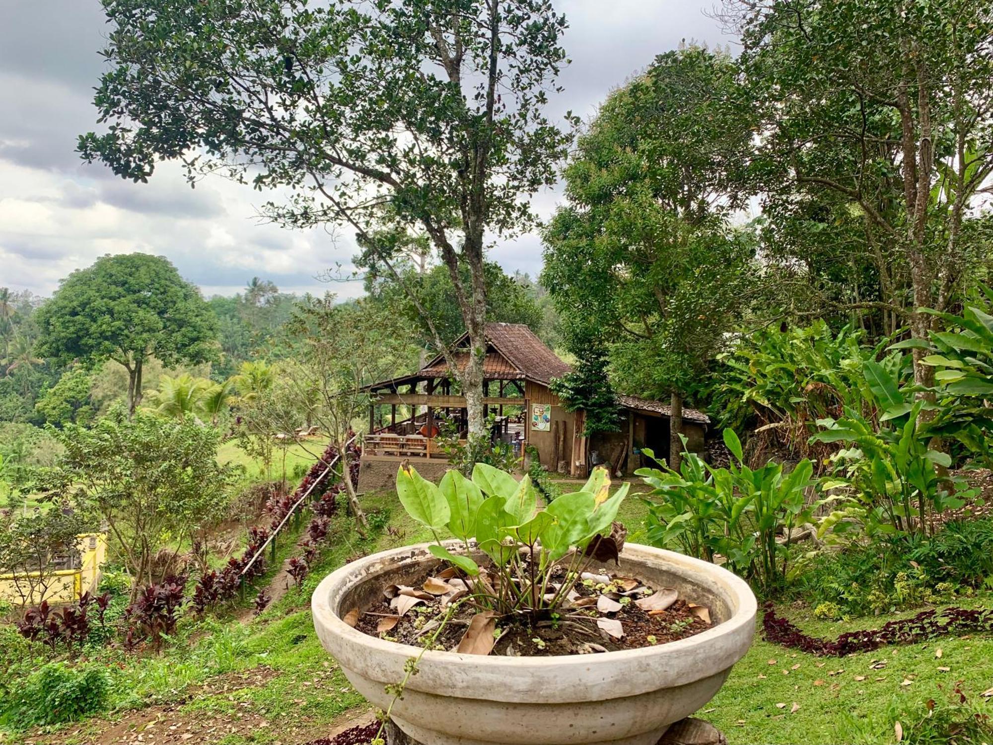 Sang Tirta Resort Penebel Extérieur photo