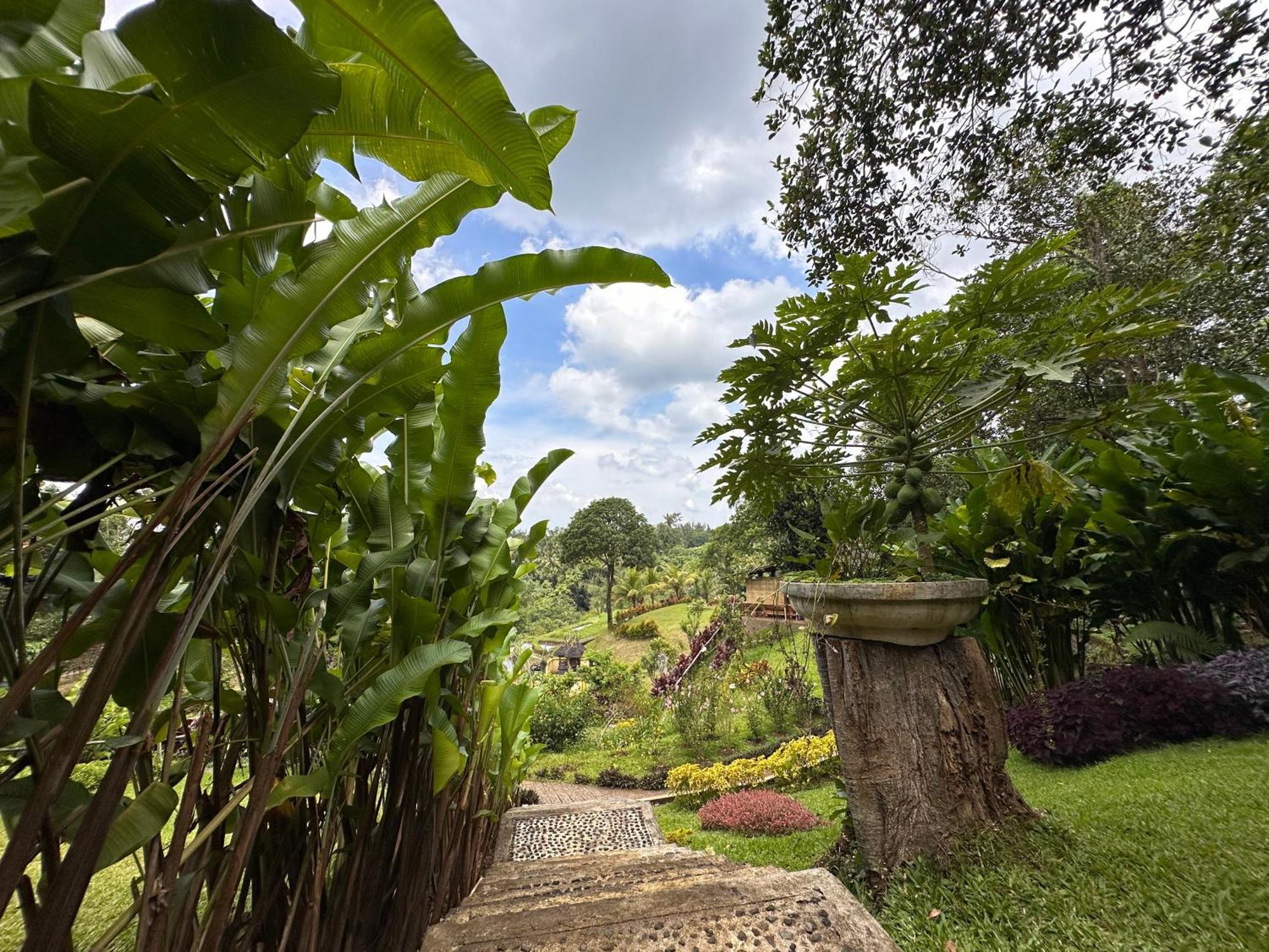Sang Tirta Resort Penebel Extérieur photo
